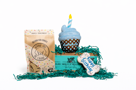 Let’s Pawty! - Pink/Blue Option