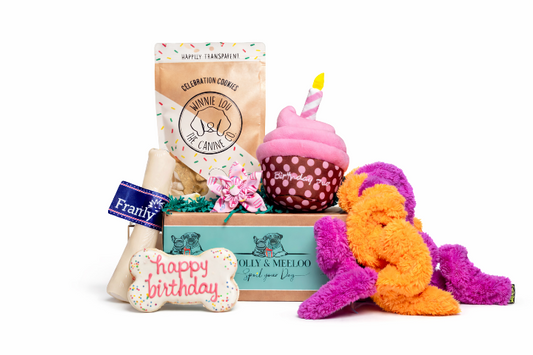 Best Birthday Ever - Pink/Blue Option
