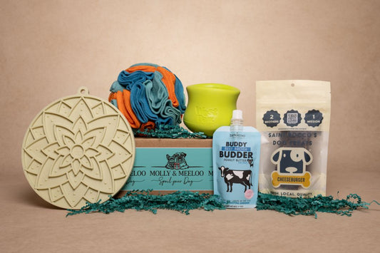 Enrichment Box