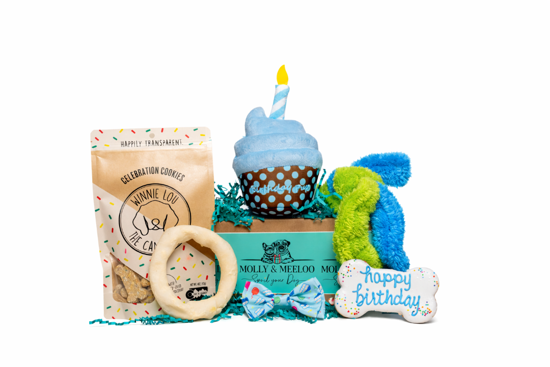 Best Birthday Ever - Pink/Blue Option